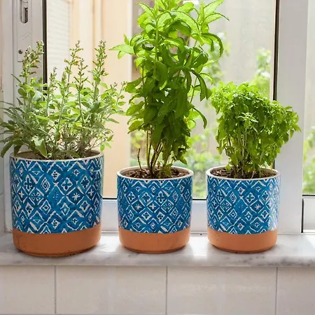 Thalassa Old Town Apartment *